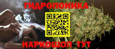 шишки Нарткала