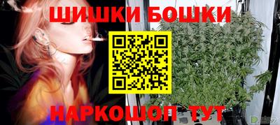 индика Нальчик