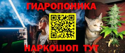 шишки Нарткала