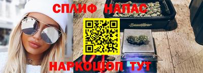 индика Нальчик