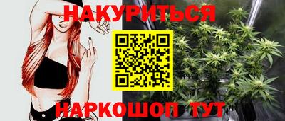 индика Нальчик