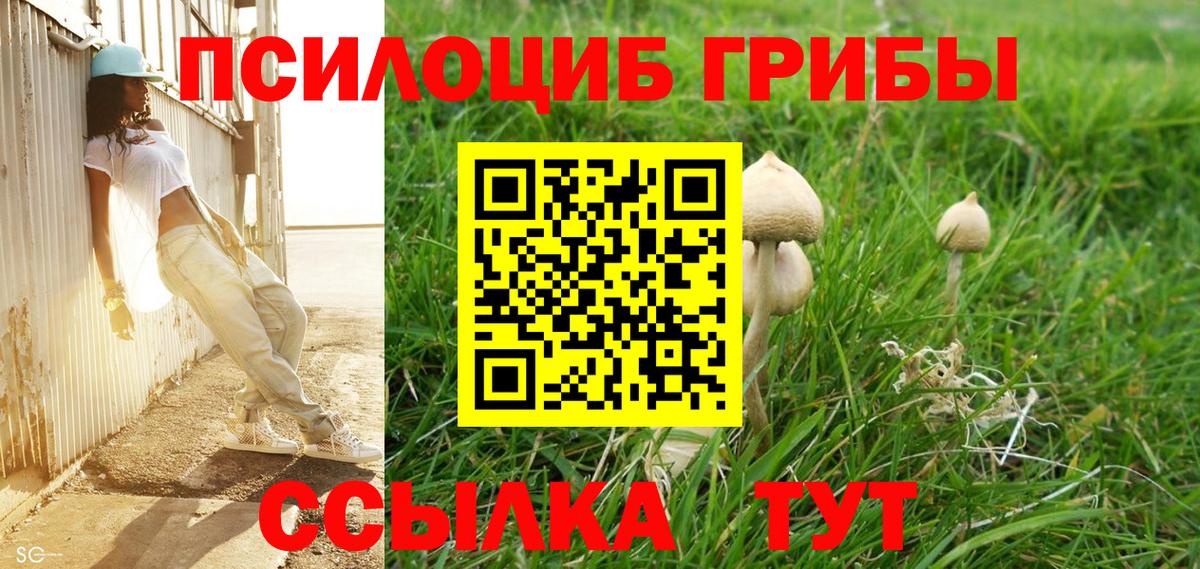 Галлюциногенные грибы ЛСД  Вход с VPN  Тула  Галлюциногенные грибы Psilocybe 