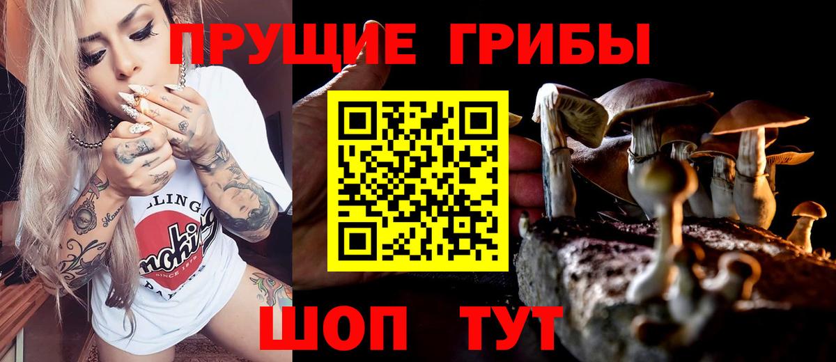 Галлюциногенные грибы мицелий Тула